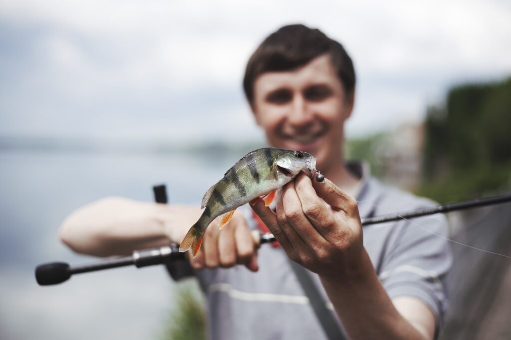 A fisherman holding freshly caught rockfish on a boat.